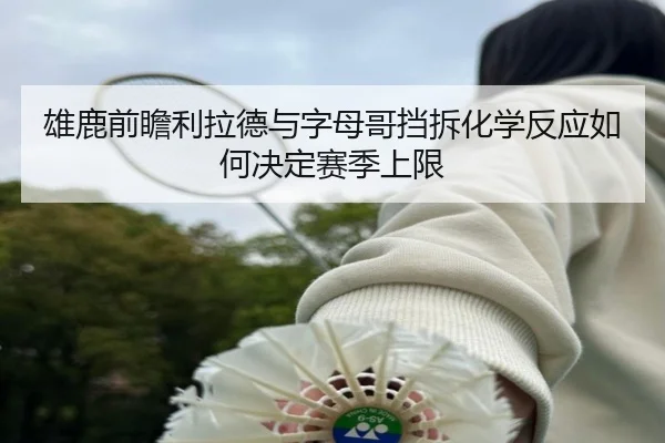 雄鹿前瞻利拉德与字母哥挡拆化学反应如何决定赛季上限